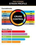 Cruise Control – True Strains – 2ml Vape Pod